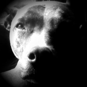 Meet your Posher, Dale